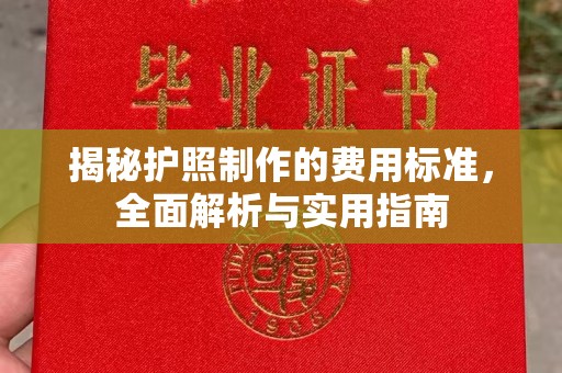 金阳揭秘护照制作的费用标准，全面解析与实用指南